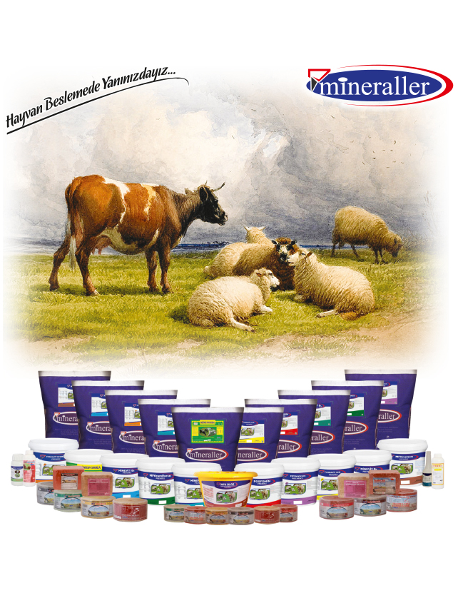 Mineraller Yem San. Tic. A.Ş